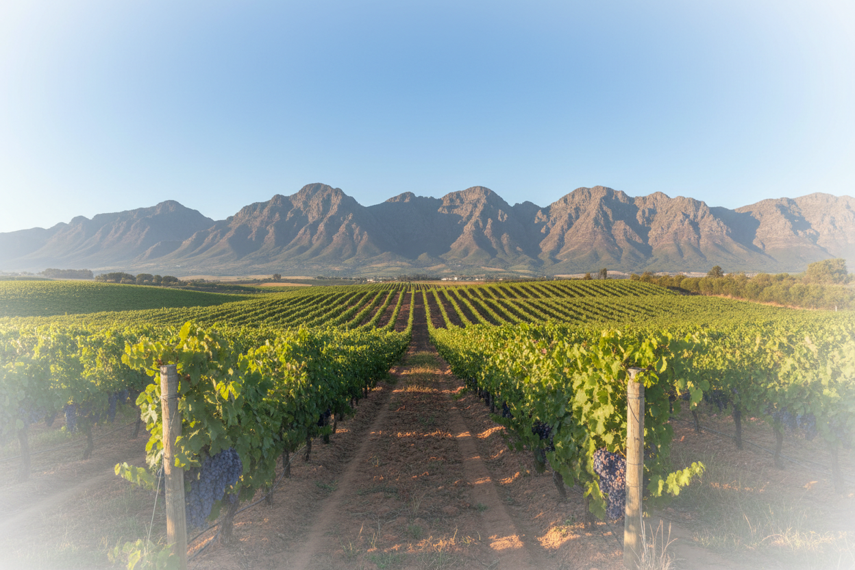 South Africa
