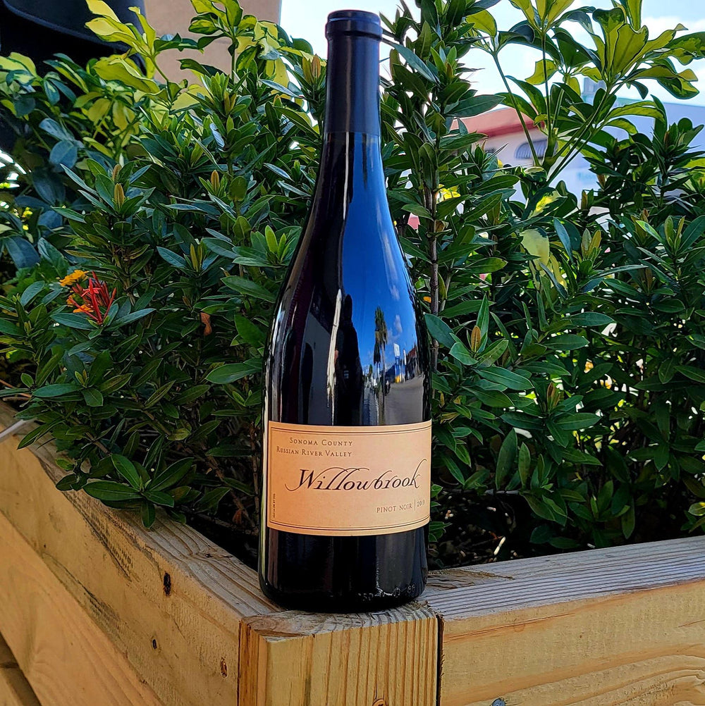 2019 WILLOWBROOK PINOT NOIR, RUSSIAN RIVER SONOMA COUNTY CALIFORNIA-Happy Wine Calle Ocho