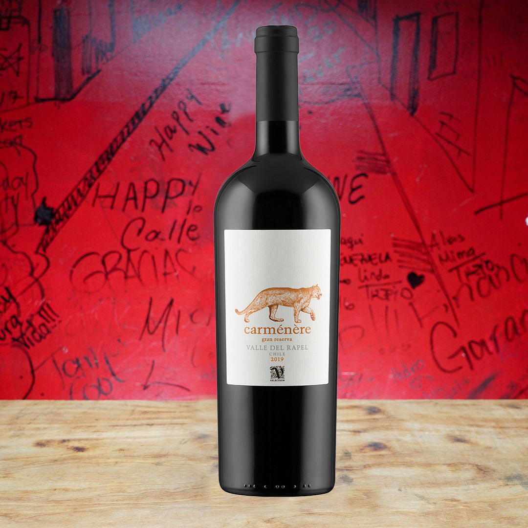 2019 PALENA CARMENERE GRAN RESERVA, RAPEL VALLEY CHILE-Happy Wine Calle Ocho