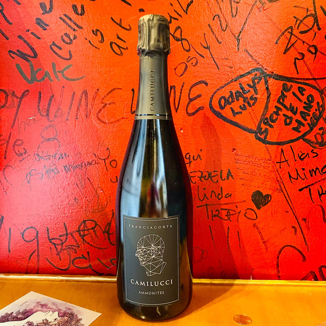 CAMILUCCI FRANCIACORTA AMMONITES BRUT, LOMBARDY ITALY-Happy Wine Calle Ocho