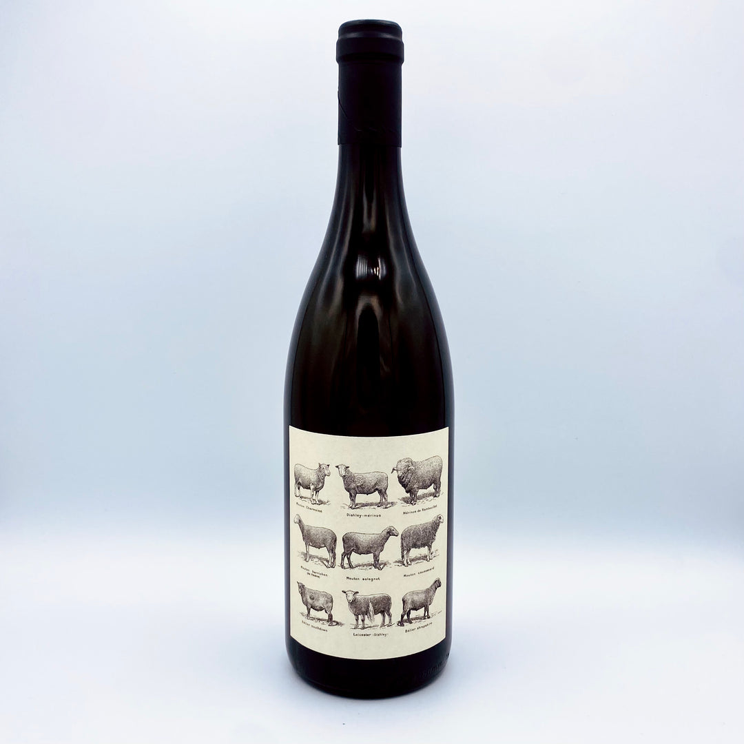 2020 BARBARA OHLZELT GRUNER-VELTLINER LAMM, KAMPAL DAC AUSTRIA-Happy Wine Calle Ocho
